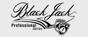 Blackjack Professional